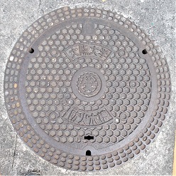 ���c�s����w�h�ΐ���