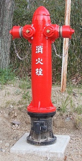 ����w���ΐ�