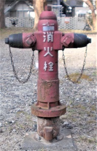 ����w���ΐ�