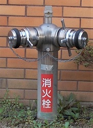 ����w���ΐ�