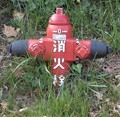 ����w���ΐ�