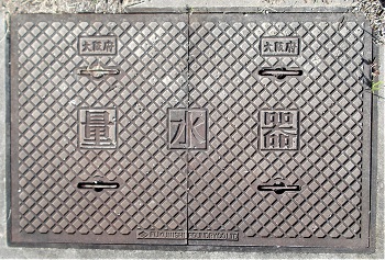 ���{�ʐ���