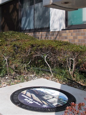 ���c�s�}���z�[��