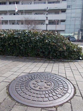 ���{�H�Ɨp�����}���z�[��