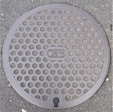 �ޗǌ������a