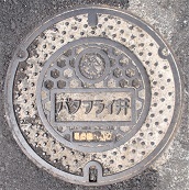 ���c�s�o�^�t���C��