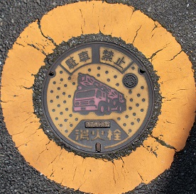 ���c�s���ΐ�