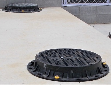 �L���s�}���z�[��