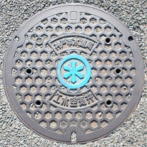 �_�ˎs�H�Ɨp����C��