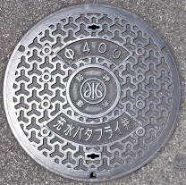 ��_�����[���o�^�t���C��