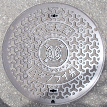 ��_�����Q�����z�o�^�t���C��