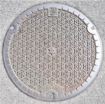 ���{�s�}���z�[��