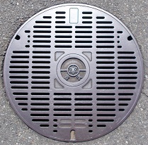 ���{�s�}���z�[��