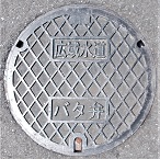 ���{�o�^�t���C��