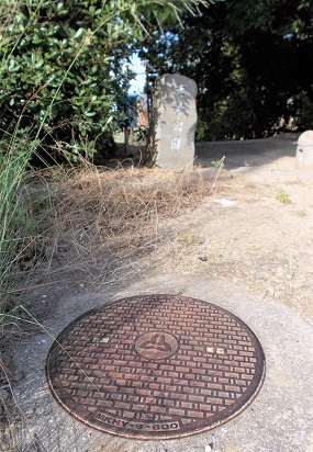 �W�H���}���z�[��