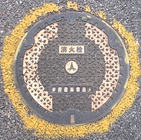 �W�H�s���ΐ�