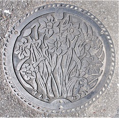 �F�{�s�}���z�[��