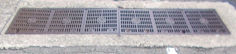 �L���s�}���z�[��