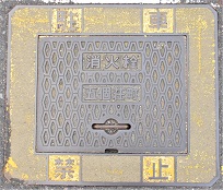 �܌������ΐ�