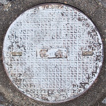 ���{�s�}���z�[��