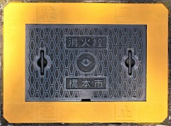 ���{�s���ΐ�