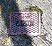 ���{�s���ΐ�