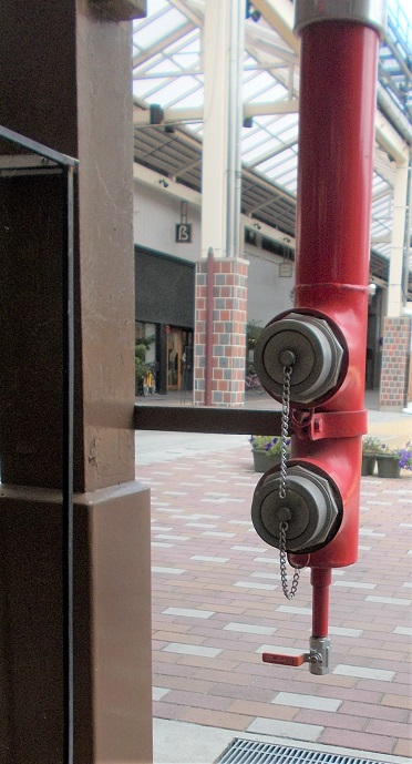 �q�~�s������