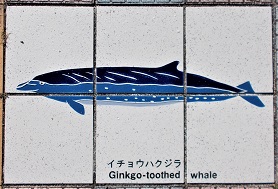 ���n������