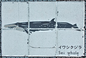 ���n������