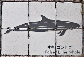 ���n������