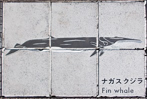 ���n������