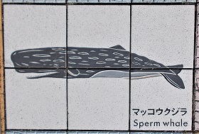 ���n������