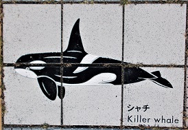 ���n������