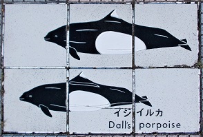 ���n������