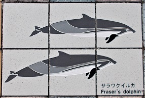 ���n������