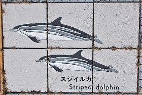 ���n������