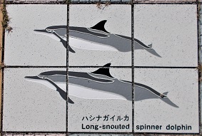 ���n������