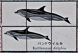 ���n������