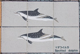 ���n������