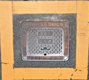 ���C�����ΐ�