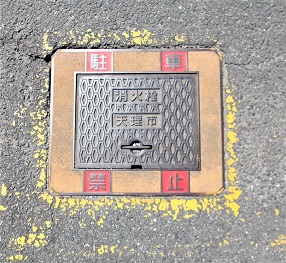 �V���s���ΐ�