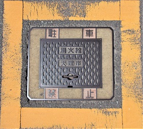 �V���s���ΐ�