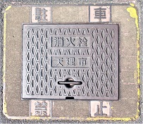 �V���s���ΐ�