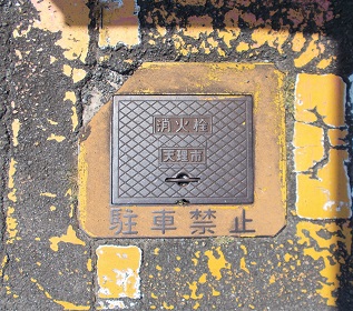 �V���s���ΐ�