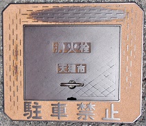 �V���s���ΐ�