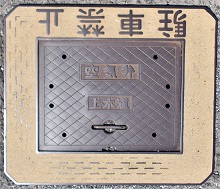 �V���s���ΐ�