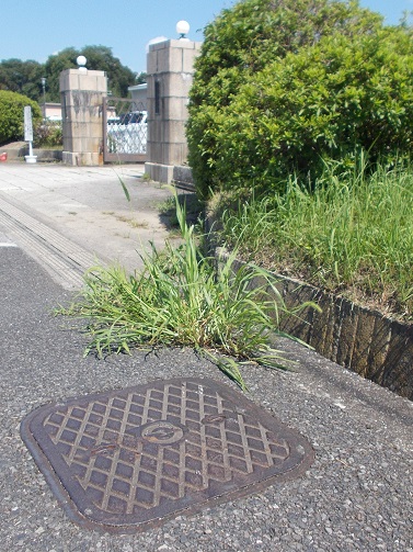 電電公社マンホール