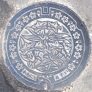 �쐼�s�}���z�[��