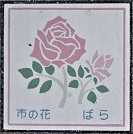 �����s����