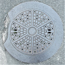 ���{���}���z�[��